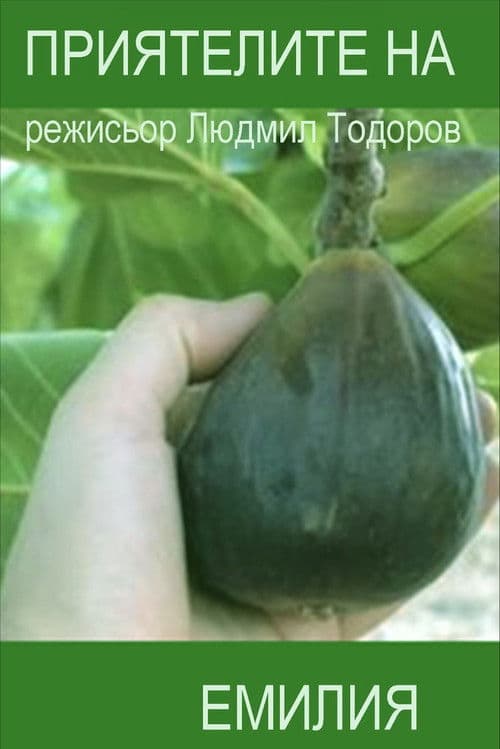 Приятелите на Емилия