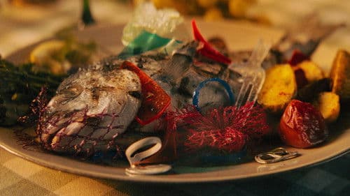 Plastic Fischer - Buon Appetito Bild 2