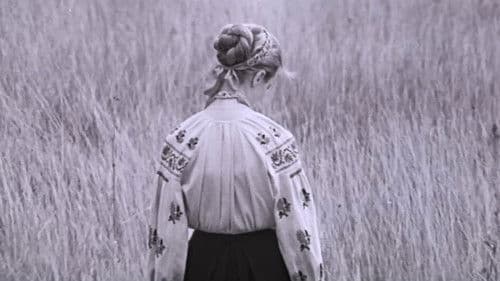 Иду к тебе... Bild 1