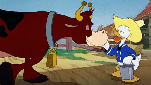 Herr MacDonald hat 'ne Farm Bild 3