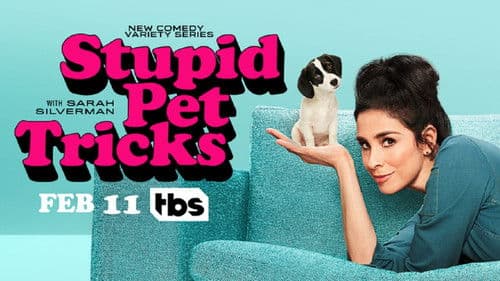 Stupid Pet Tricks Bild 2