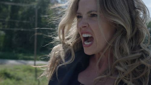 V for Vengeance Bild 4