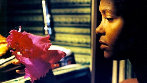 Shandurai und der Klavierspieler Bild 4