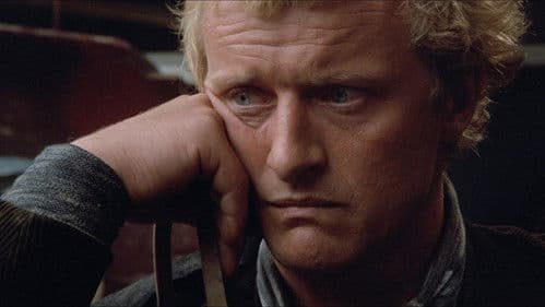 Die Brut des Adlers Bild 6