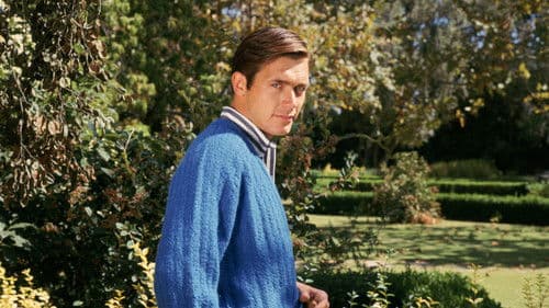 Paris ist voller Liebe Bild 5