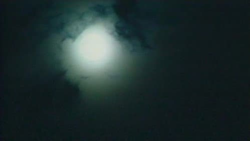 火垂 Bild 8