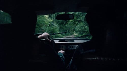 Crying Fields Bild 4