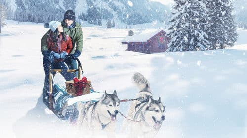 Christmas in the Wilds Bild 2