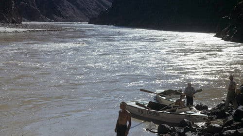 Facing Your Danger Bild 1