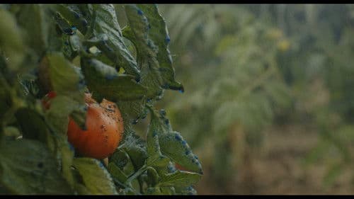 Cualquier día la envenenas Bild 3