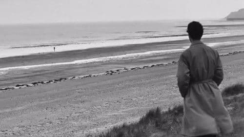 Ein hübscher kleiner Strand Bild 5