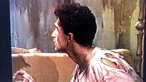 Трамвай «Желание» Bild 1