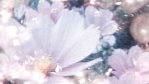 オフィーリアの愛読書 Bild 2