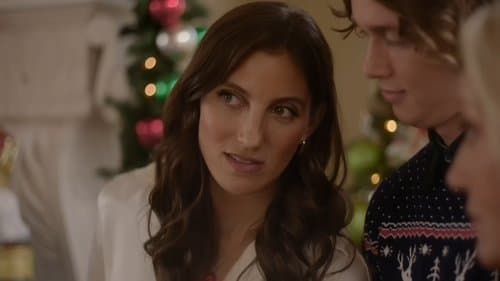 Christmas with the Foxes Bild 1