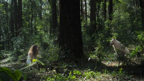 All Silent Dogs Bild 1