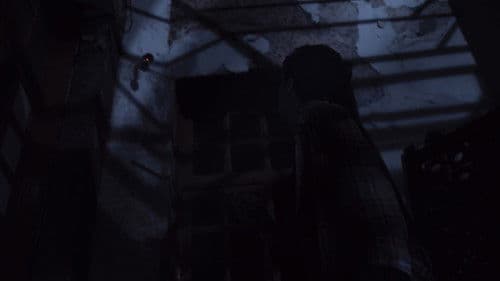 Tras la ventana Bild 2