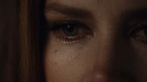 Nocturnal Animals Bild 3