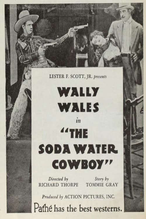 The Soda Water Cowboy