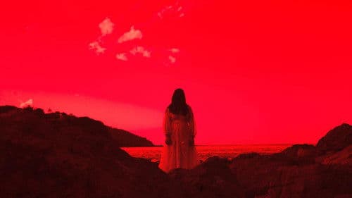 As Núpcias de Drácula Bild 6