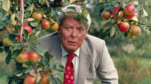 Glädjekällan Bild 1