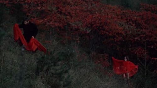 Ovoce stromů rajských jíme Bild 6