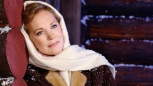 Zauber einer Winternacht Bild 5