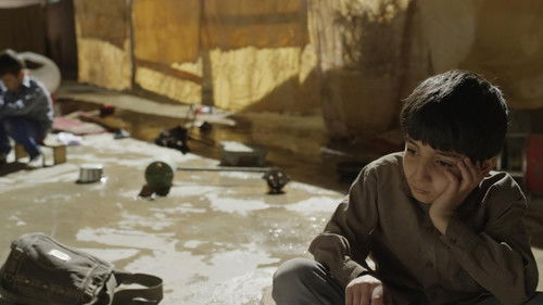 من سامیم Bild 1