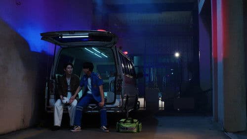 A Dog and a Plane Bild 5