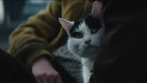 A Quiet Place: Tag Eins Bild 8