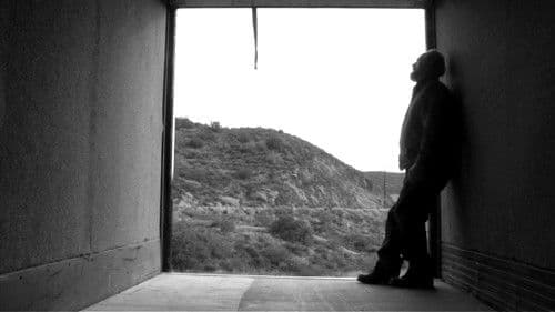 The Bunny Game Bild 6