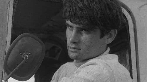 Viața în roz Bild 1