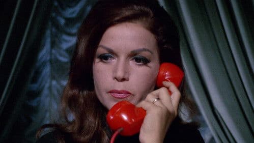 Blutige Seide Bild 2