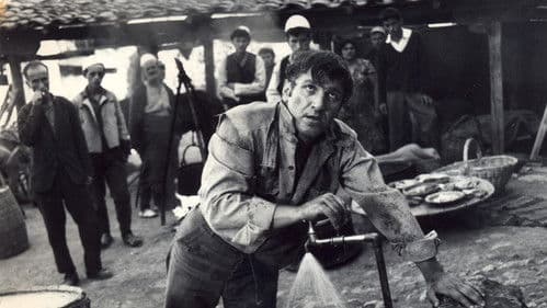 Dr. Homers Bruder Bild 4