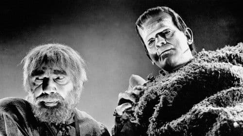 Frankensteins Sohn Bild 5