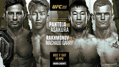 UFC 310: Pantoja vs. Asakura Bild 4