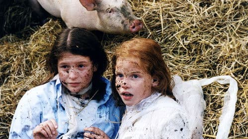 Schickt mehr Süßes Bild 5