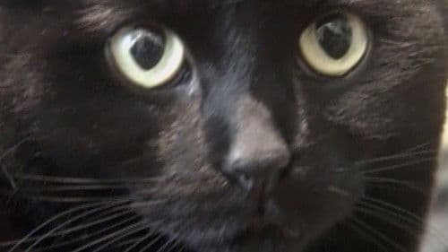 Down to Clown Bild 3