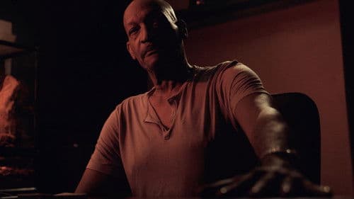 All Gone Wrong Bild 3