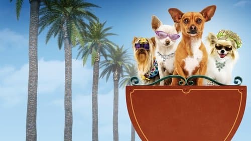 Beverly Hills Chihuahua Bild 1