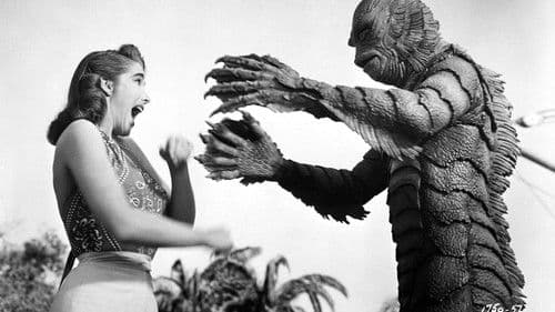 Zurück zum Amazonas Bild 1