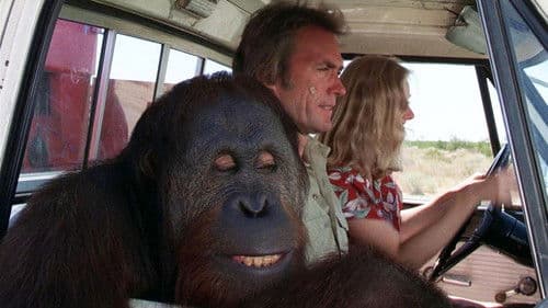 Mit Vollgas nach San Fernando Bild 5