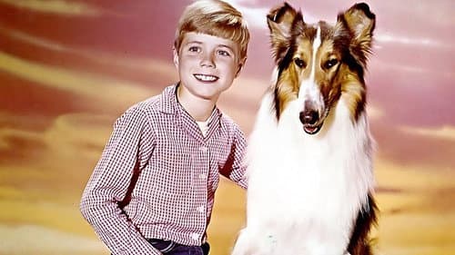 Lassie - Ein neuer Anfang Bild 4