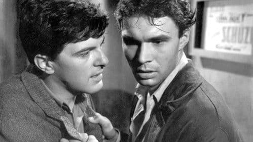 Cesta hlubokým lesem Bild 1