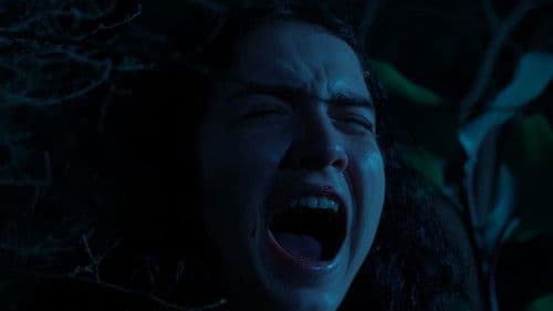 El llanto del perro Bild 1