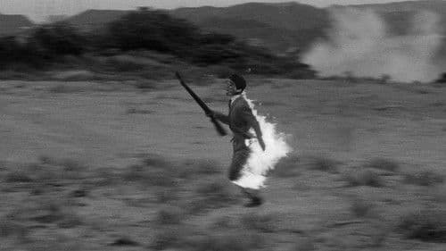 Branded to Kill Bild 4