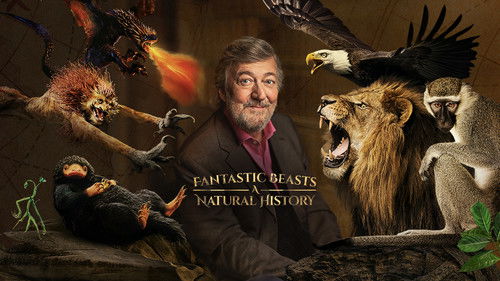 Fantastic Beasts: A Natural History Bild 4