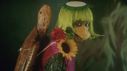 Dead or Alive 2 Bild 6