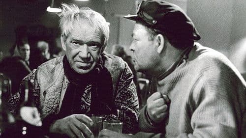 Kirjad Sõgedate külast Bild 1