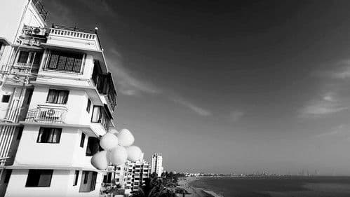 A Billion Colour Story Bild 5