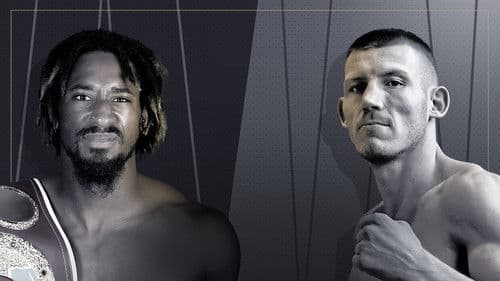 Demetrius Andrade vs. Liam Williams Bild 2